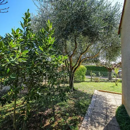 Jolie Maison - Calme - Jardin - Gaillac Buitenkant foto
