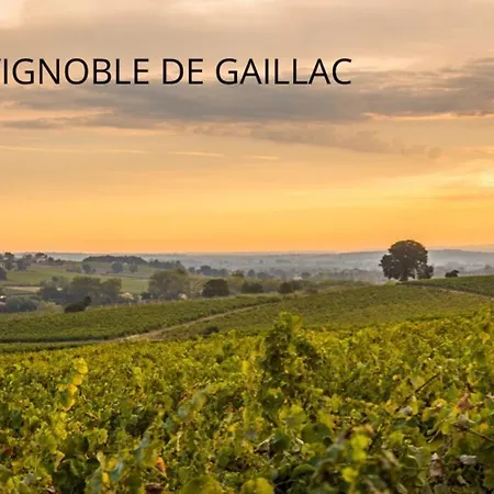 Jolie Maison - Calme - Jardin - Gaillac Buitenkant foto